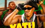Dreckzine Zm - Ziko Yatu (Zambia Yatu)