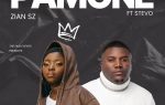 Zian SZ ft. Stevo - Pamone