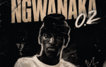 Leeco sa – Ngwanaka 0.2