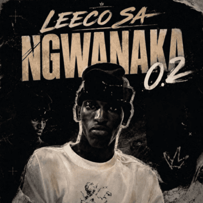 Leeco sa – Ngwanaka 0.2