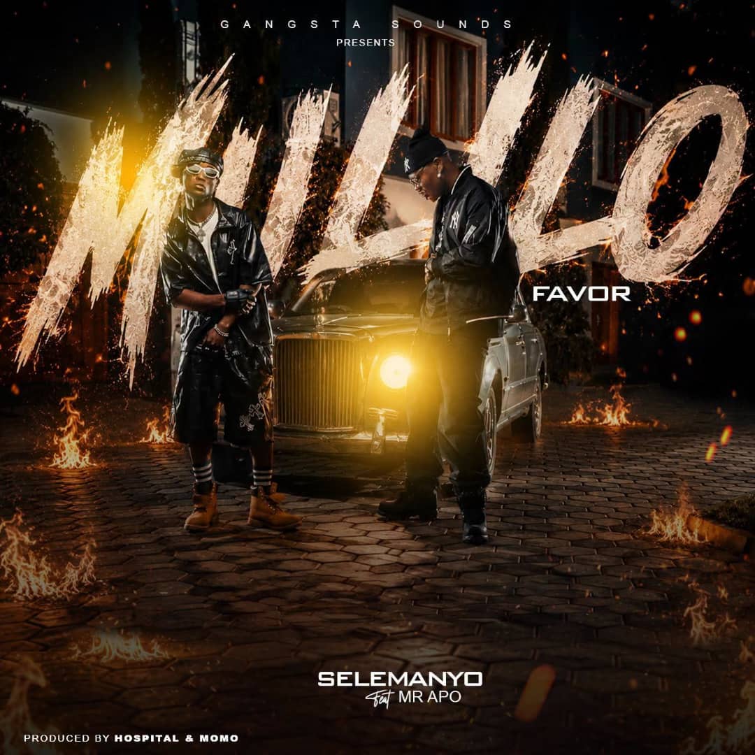 Selemanyo ft. Mr Apo – Mulilo (Favor)