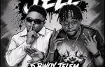 D Bwoy Telem ft. Flex Eurly - Jele