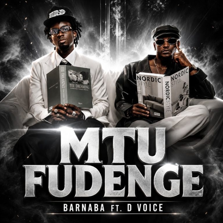 Barnaba ft. D Voice - Mtu Fudenge