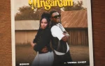 Zonke ft. Yanga Chief - Mnganam