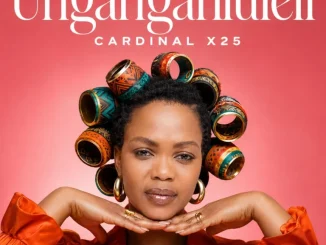 Cardinal X25 – Ungangahluleli
