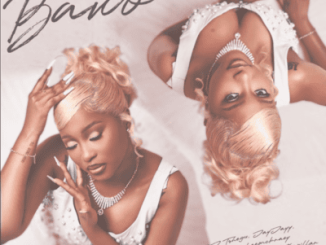 DJ Tshegu, JayJayy, Bassie & LeeMcKrazy ft Sims Noreng & Khathapillar – Bawo