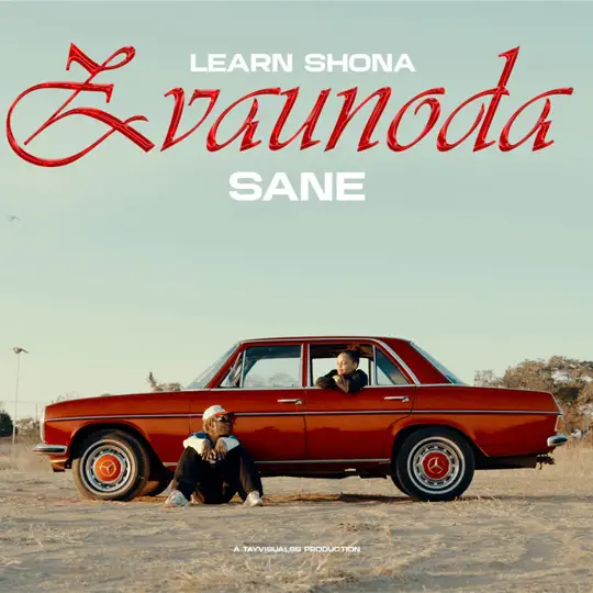 Learn Shona ft. Sane - Zvaunoda
