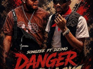 Songzee ft. Dizmo - Danger Nama Blacks