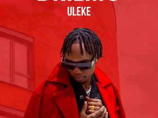 Driemo - Uleke