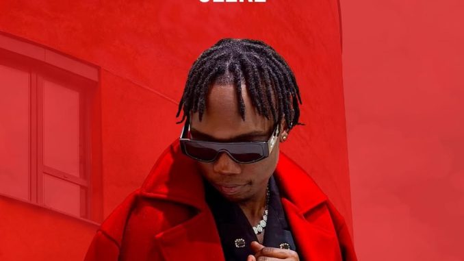 Driemo - Uleke