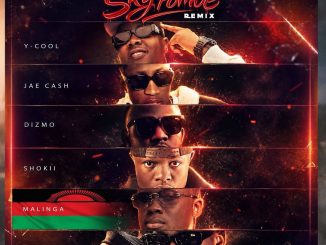 Y-Cool ft. Jae Cash, Dizmo,Dreckzine Zm,Shokii & Malinga - SkyPombe (Remix)