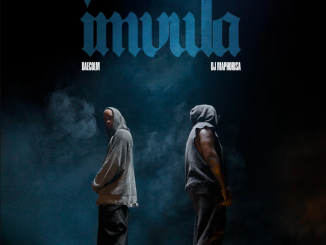 Daecolm & DJ Maphorisa – Imvula