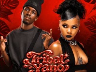 DrummeRTee924 ft. Ghostlee, Fukx Iconic & TheBunny04 – Tribal Yano Bass