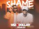Wiz Dollar Mr9.8 ft Frank Ro - Shame On You