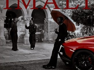 Fireboy DML ft. JAZZWRLD & Thukuthela - IMALI