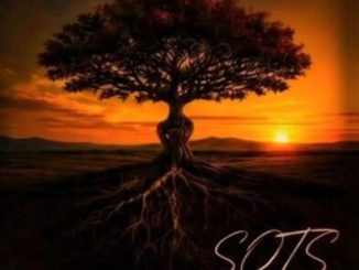 Kelvin Momo – Possess