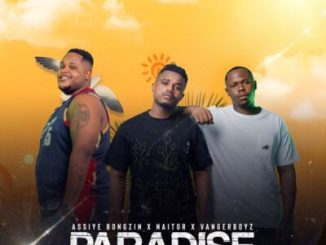 Naitor, Assiye Bongzin & Vanger Boyz – Paradise