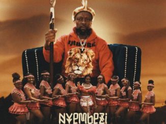 Zola – Nyembezi Zamatshitshi
